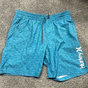 Hurley Men's Blue Shorts